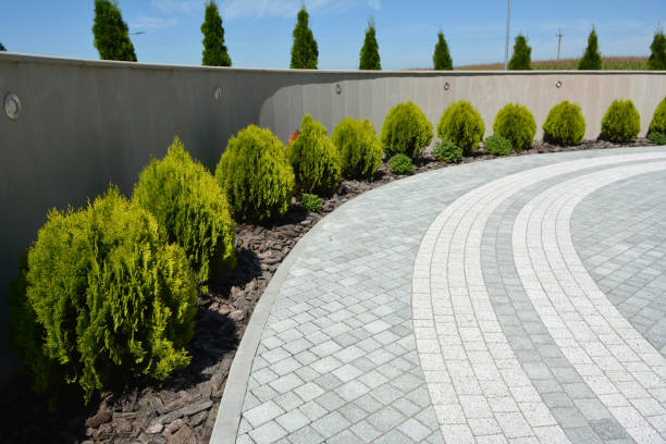 Best Driveway Pavers Near Me  in Salem, SD